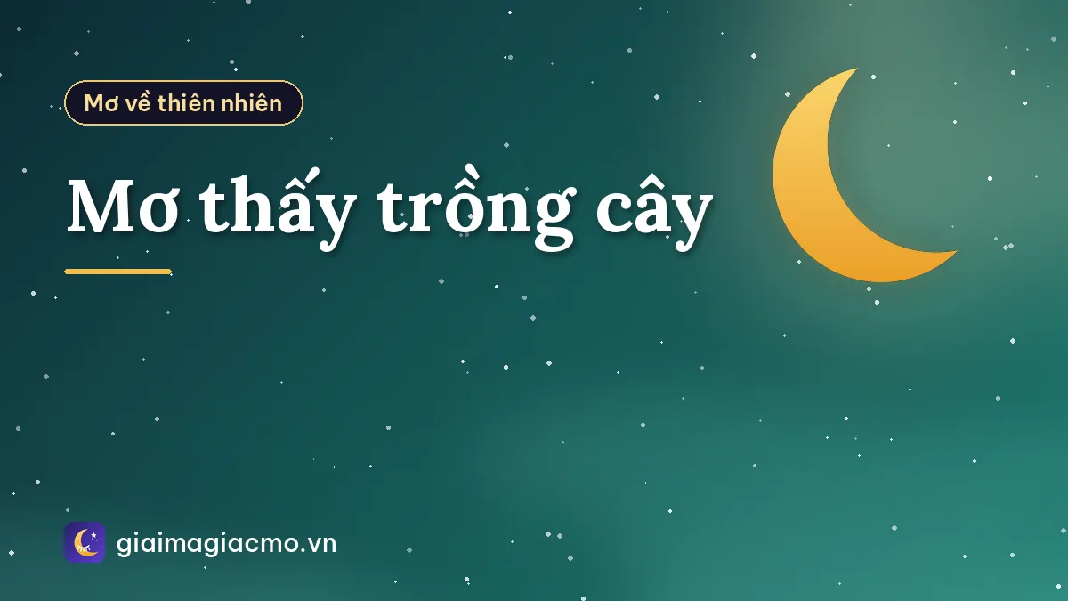 Mơ thấy trồng cây