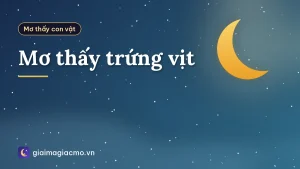 Mơ thấy trứng vịt