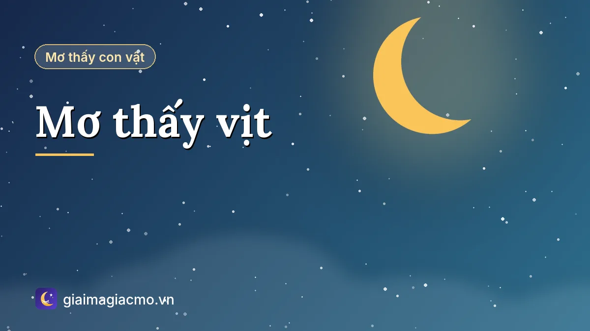 Minh hoạ giải mã giấc mơ thấy vịt con màu vàng bơi trên ao