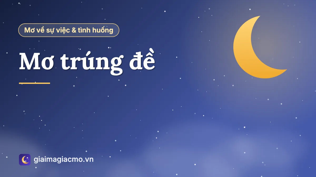 Minh hoạ giải mã giấc mơ trúng số đề