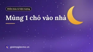 Mùng 1 chó vào nhà