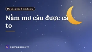Nằm mơ câu được cá to