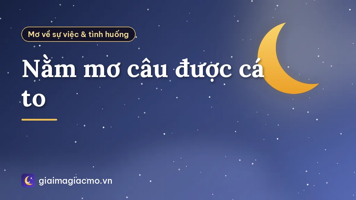 Nằm mơ câu được cá to