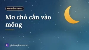 Mơ chó cắn vào mông