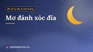 Mơ đánh xóc đĩa