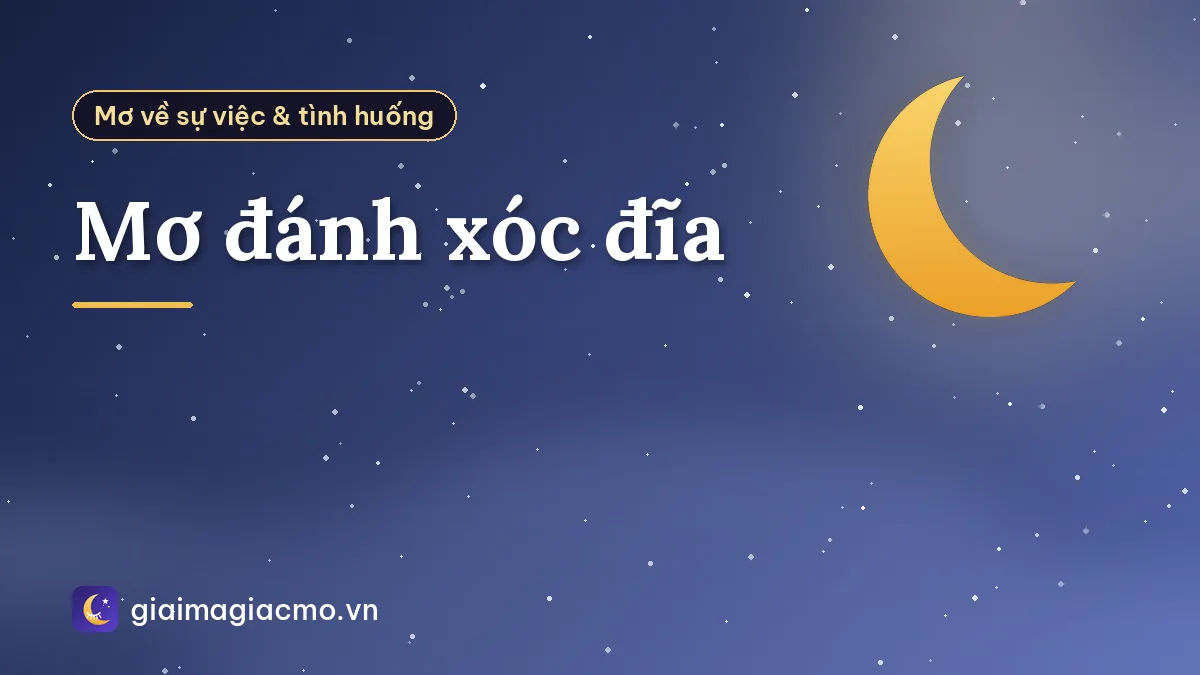 Mơ đánh xóc đĩa