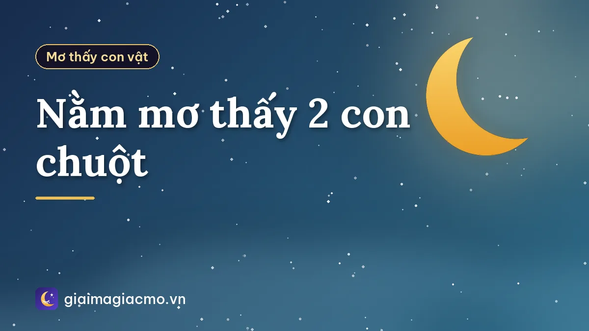 Nằm mơ thấy 2 con chuột