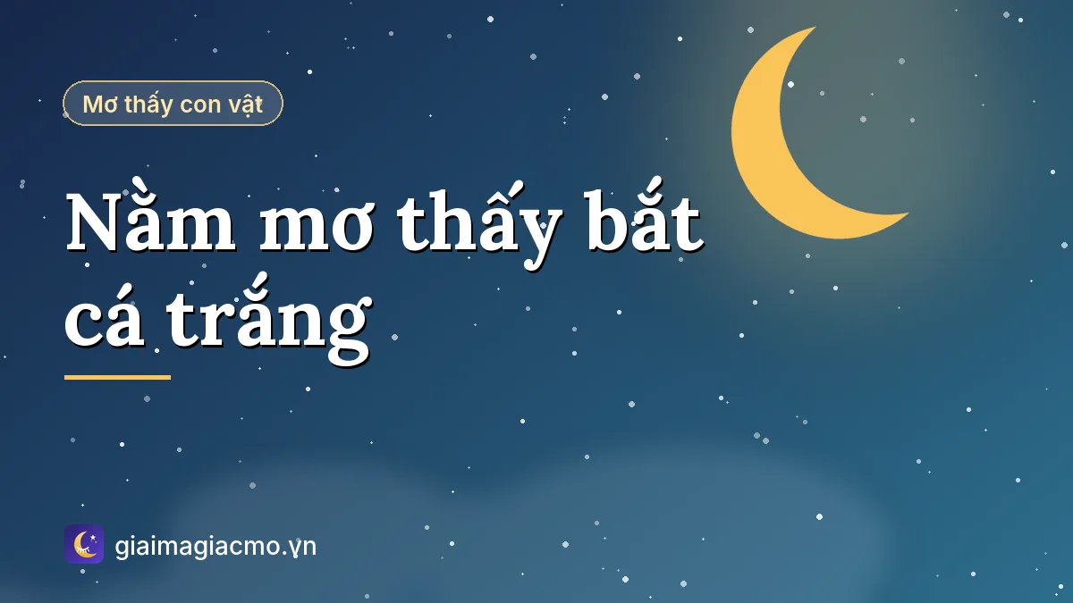 Minh hoạ giải mã giấc mơ nằm mơ thấy bắt cá trắng