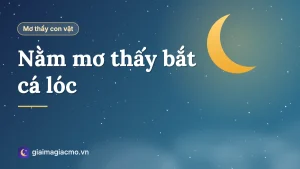 Minh hoạ giải mã giấc mơ thấy bắt được cá lóc, cá quả
