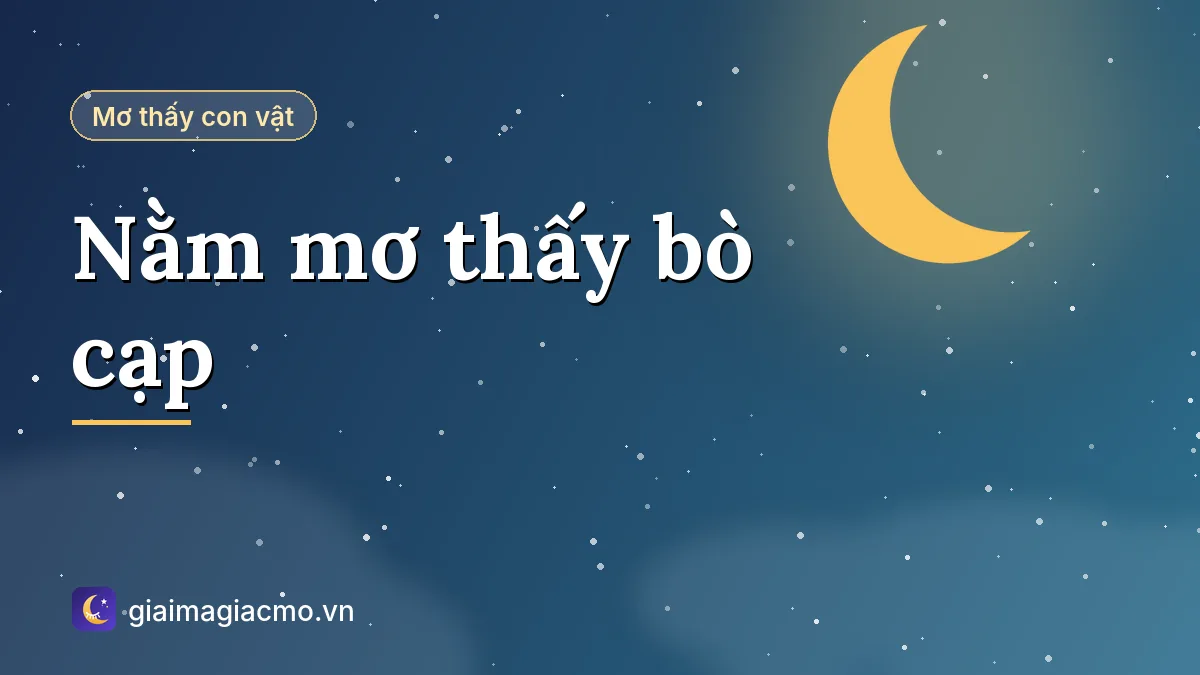 Minh hoạ giải mã giấc mơ nằm mơ thấy bò cạp