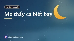 Mơ thấy cá biết bay