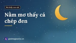 Nằm mơ thấy cá chép đen