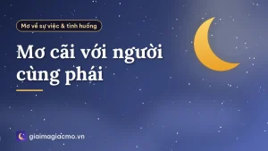 Mơ cãi với người cùng phái