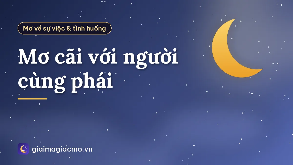 Mơ cãi với người cùng phái