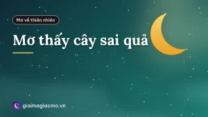 Mơ thấy cây sai quả