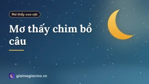 Mơ thấy chim bồ câu