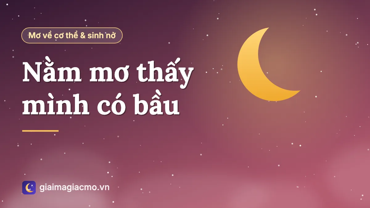 Minh hoạ người phụ nữ mơ thấy chính mình mang thai