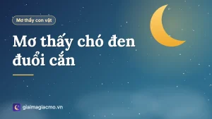 Minh hoạ giải mã giấc mơ thấy chó đen đuổi cắn theo từng tình huống