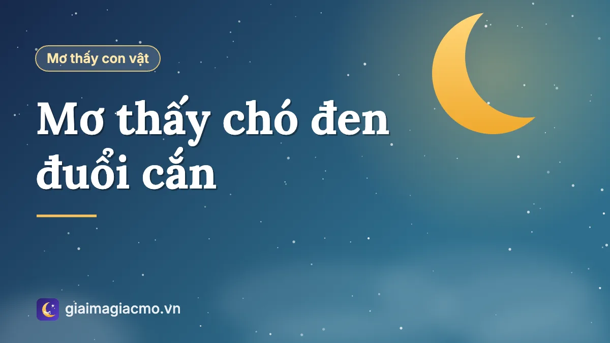 Minh hoạ giải mã giấc mơ thấy chó đen đuổi cắn theo từng tình huống