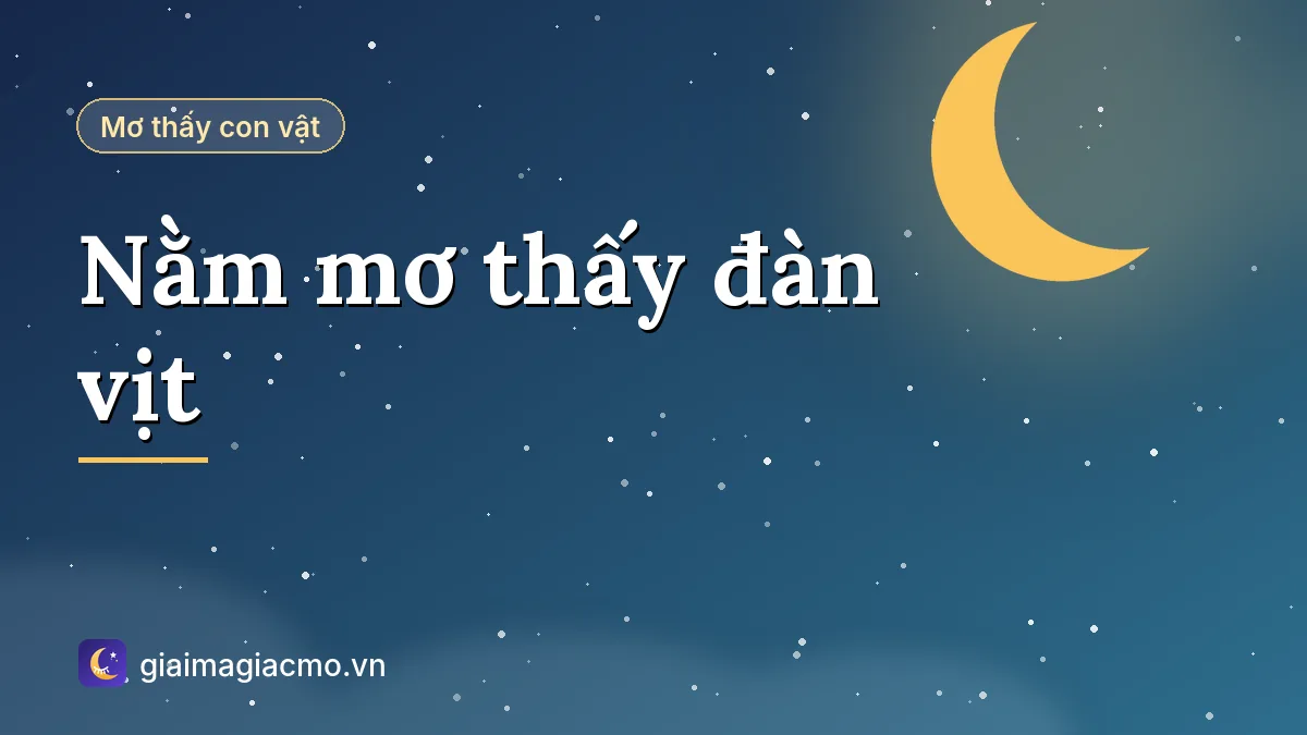 Minh hoạ giải mã giấc mơ nằm mơ thấy đàn vịt bơi trên ao
