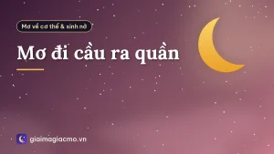 Mơ đi cầu ra quần