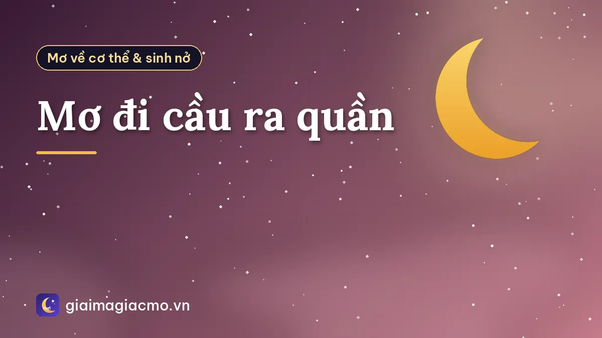 Mơ đi cầu ra quần