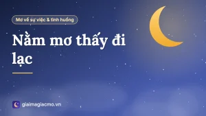 Minh hoạ giấc mơ đi lạc không biết đường về trong rừng