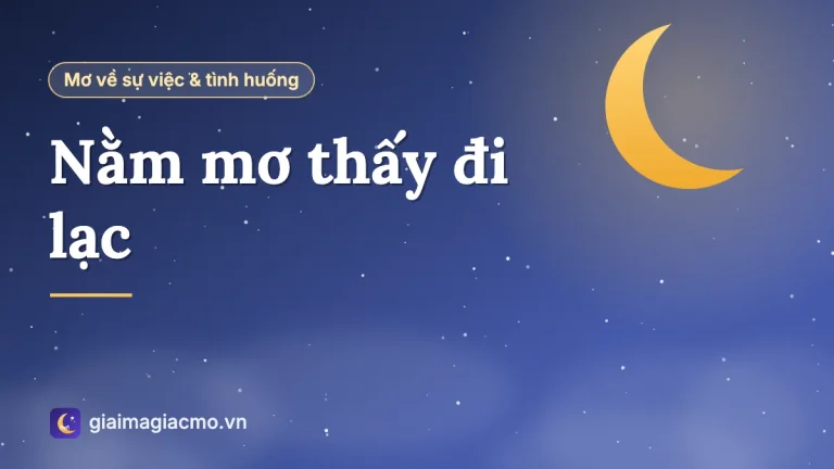 Nằm mơ thấy đi lạc không biết đường về: Ý nghĩa và con số theo sổ mơ