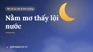 Minh hoạ giải mã giấc mơ thấy mình lội nước qua sông