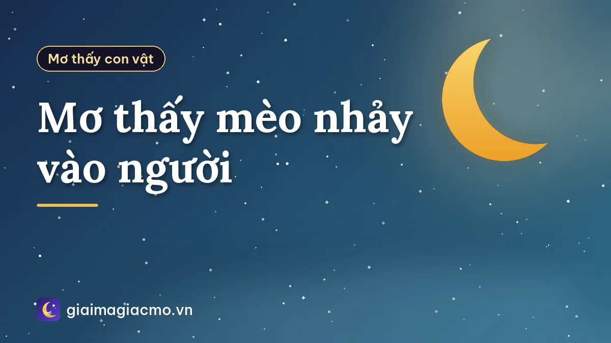 Mơ thấy mèo nhảy vào người