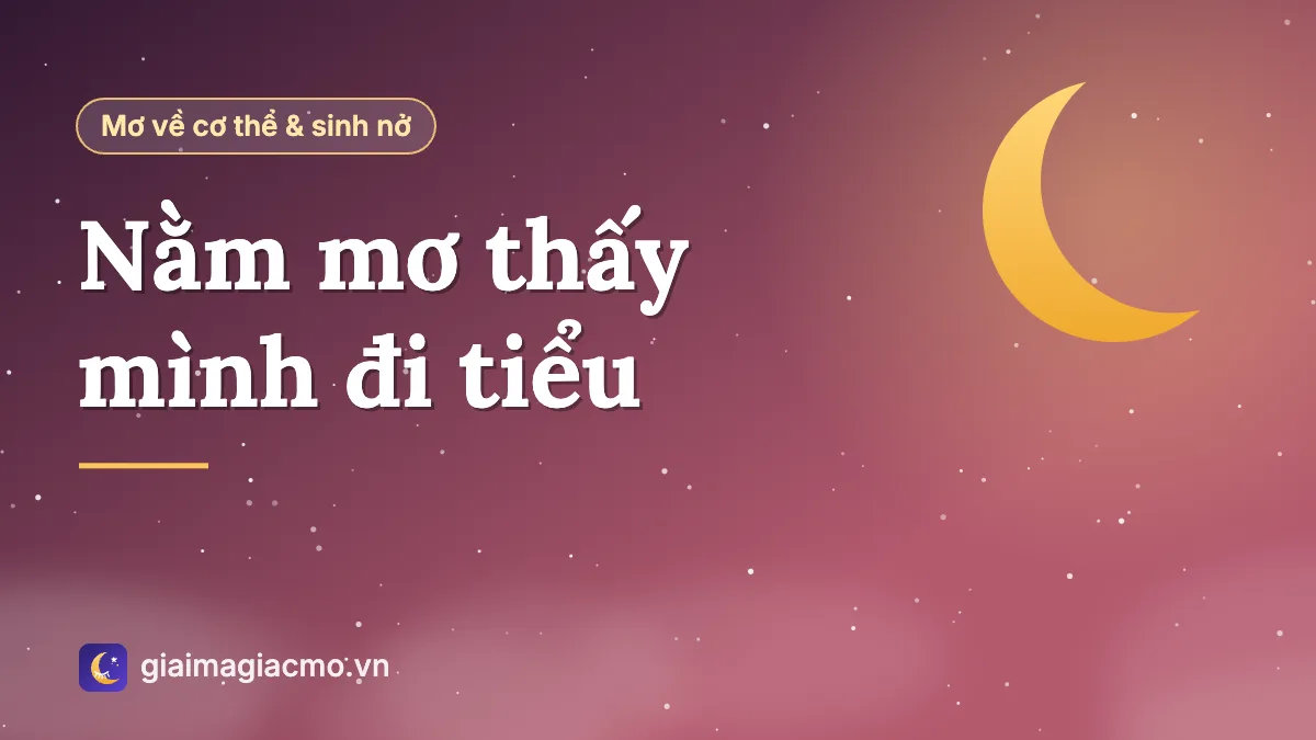Minh hoạ giải mã giấc mơ thấy mình đi tiểu