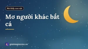 Mơ người khác bắt cá