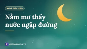 Con đường bị nước ngập sau cơn mưa, minh hoạ giấc mơ thấy nước ngập đường đi