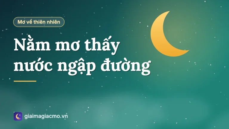 Mơ thấy nước ngập đường đi là điềm gì? Giải mã chi tiết