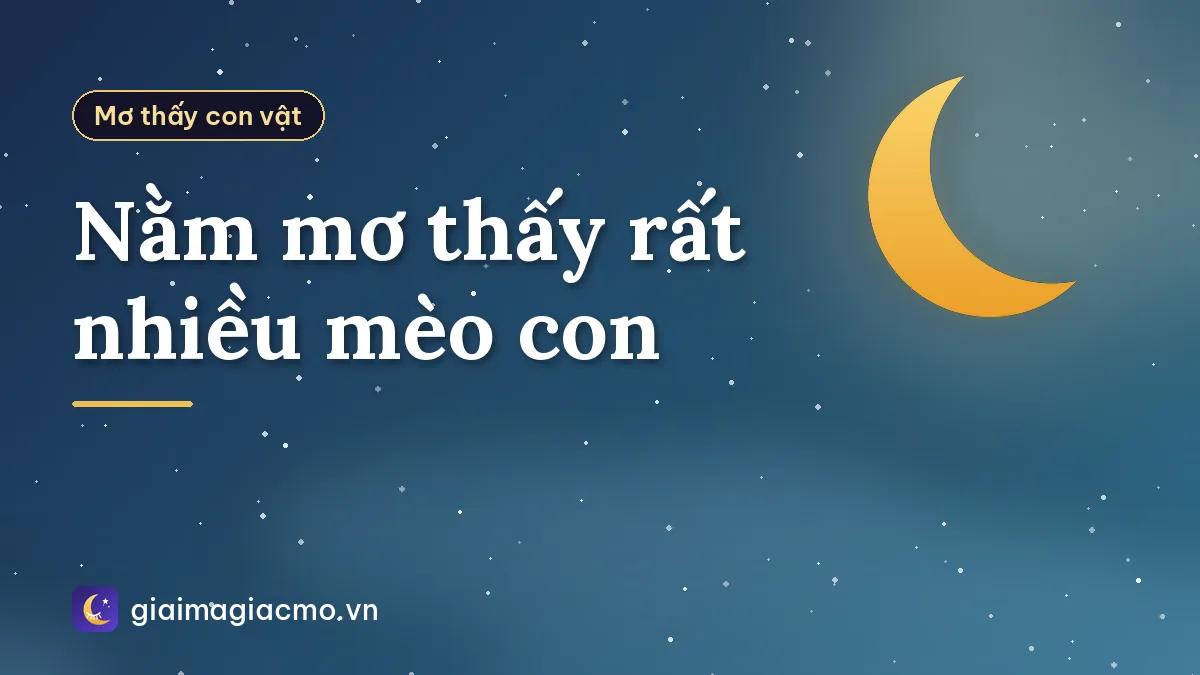 Nằm mơ thấy rất nhiều mèo con