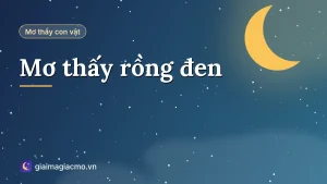 Minh hoạ giải mã giấc mơ thấy rồng đen bay trên trời
