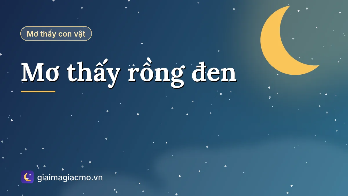 Minh hoạ giải mã giấc mơ thấy rồng đen bay trên trời