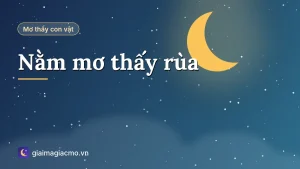 Minh hoạ giải mã giấc mơ thấy rùa xanh, rùa vàng, rùa đen