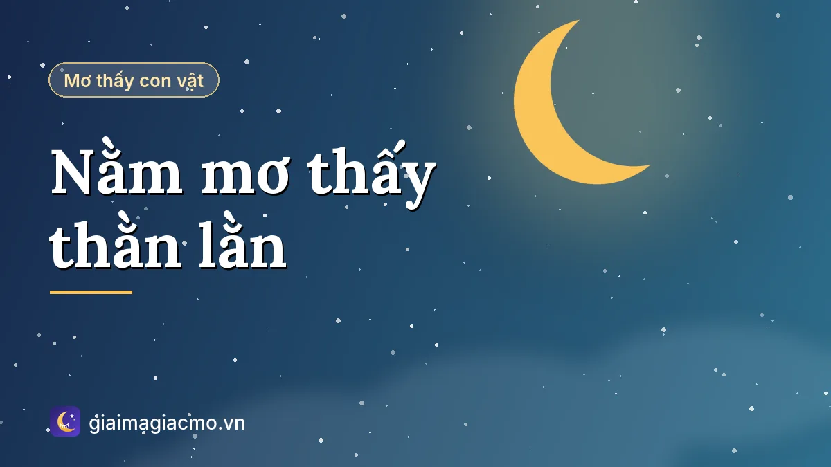 Minh hoạ giải mã giấc mơ nằm mơ thấy thằn lằn