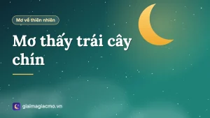 Minh hoạ giỏ trái cây chín và người hái quả trong giấc mơ