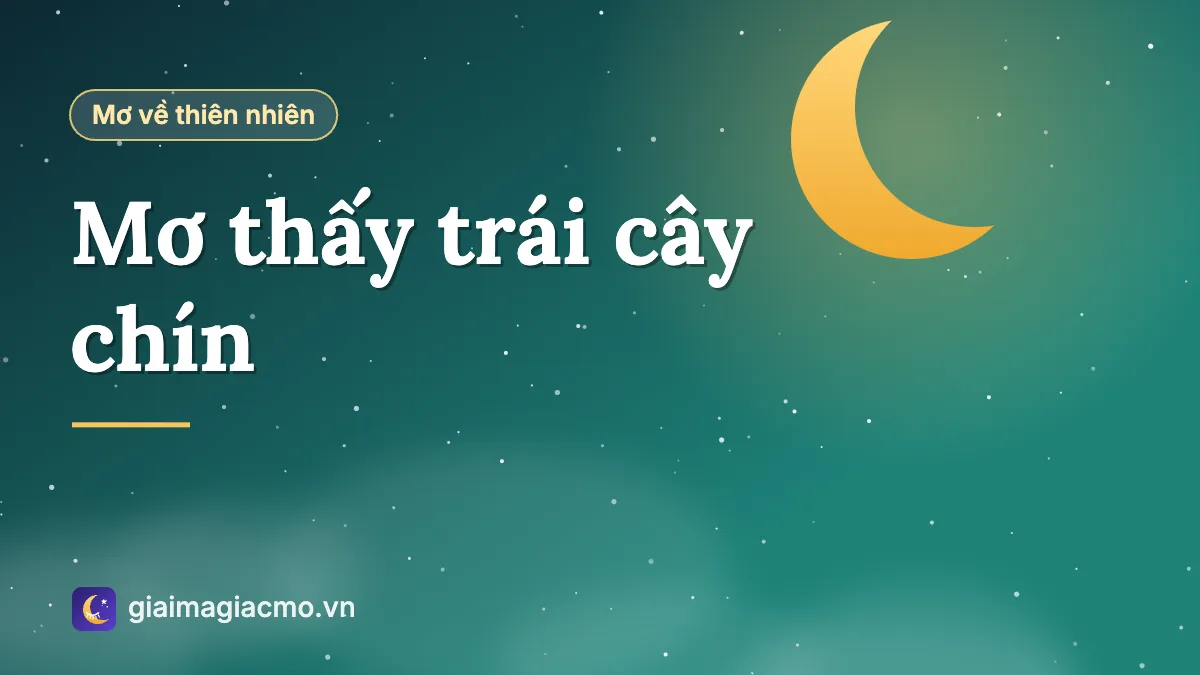 Minh hoạ giỏ trái cây chín và người hái quả trong giấc mơ