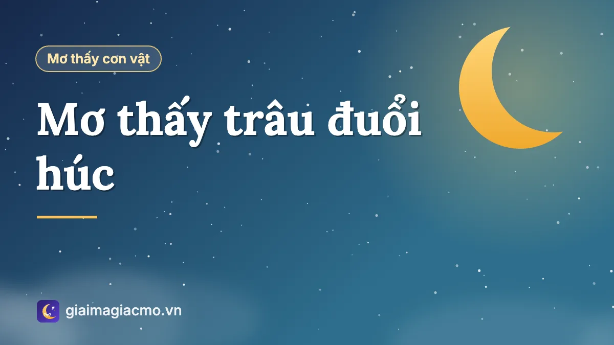 Minh hoạ giải mã giấc mơ thấy trâu đuổi húc