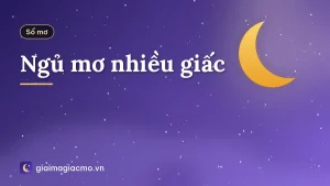 Ngủ mơ nhiều giấc