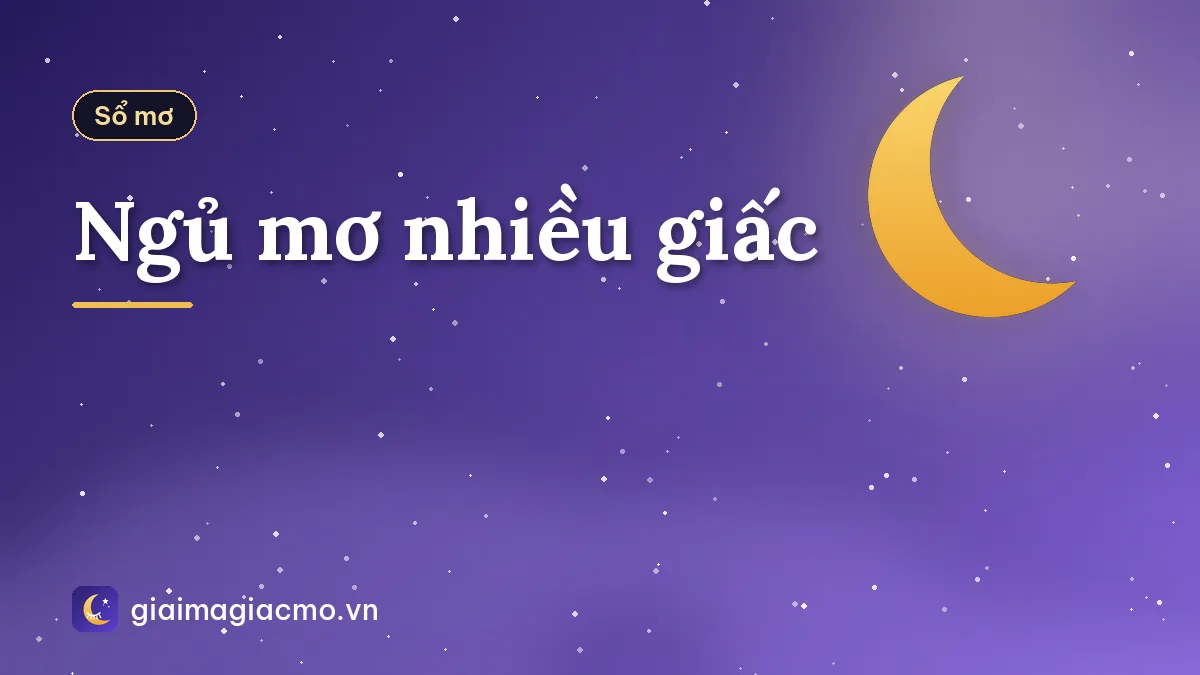 Ngủ mơ nhiều giấc