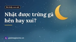 Nhặt được trứng gà hên hay xui?