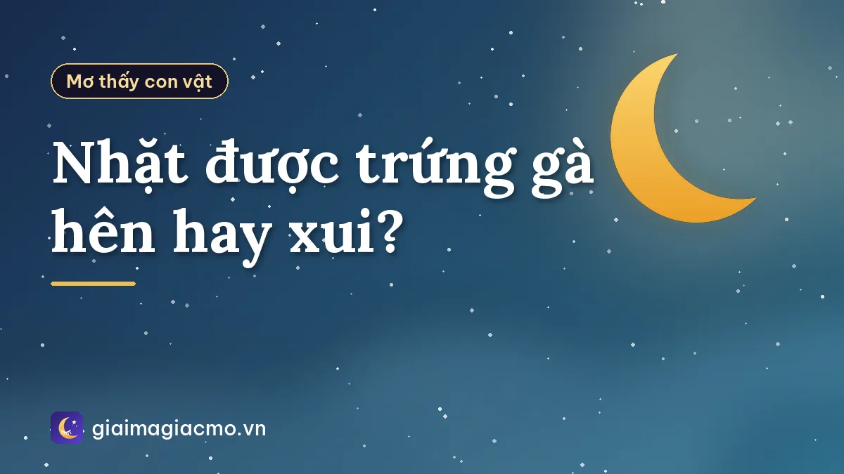 Nhặt được trứng gà hên hay xui?