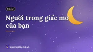 Người trong giấc mơ của bạn