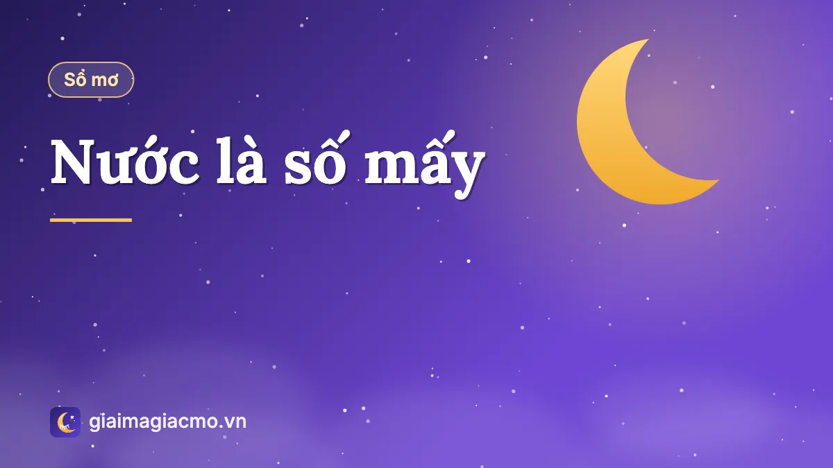 Minh hoạ con số của nước và các dạng nước theo sổ mơ dân gian
