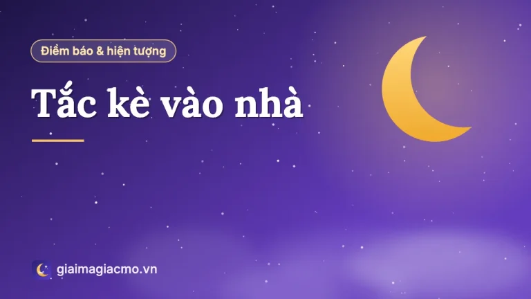Tắc kè vào nhà có tốt không? Có nên nuôi tắc kè trong nhà?