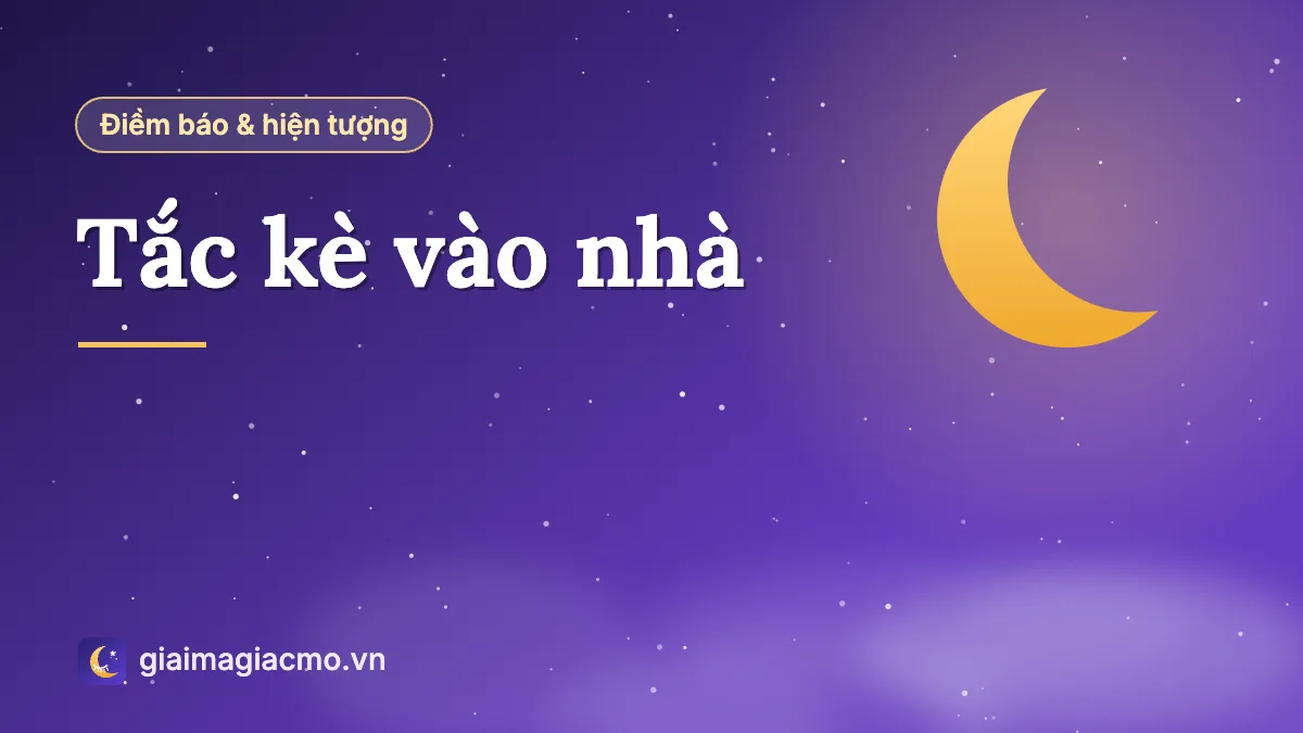 Con tắc kè bám trên trần nhà, minh hoạ câu hỏi tắc kè vào nhà có tốt không